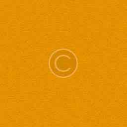 yellow.jpg